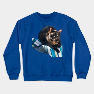 Thoughtful Tortie Crewneck Sweatshirt